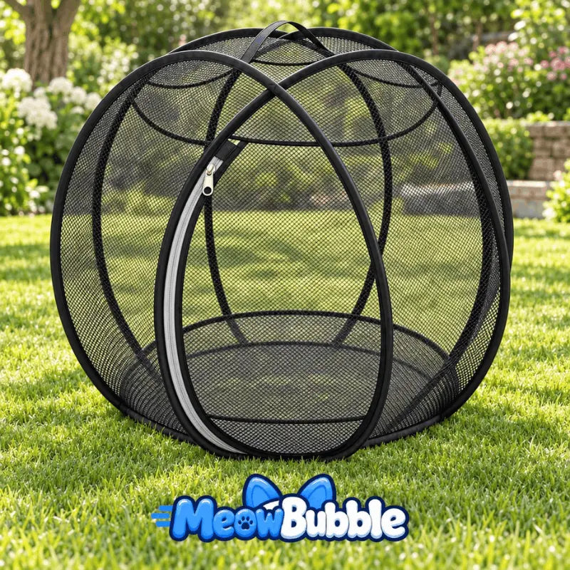 MeowBubble®